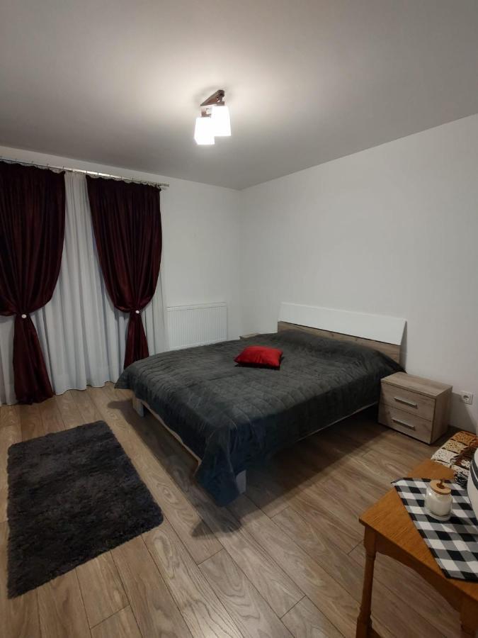 Casa Ioana Apartment Targu Mures Exterior photo